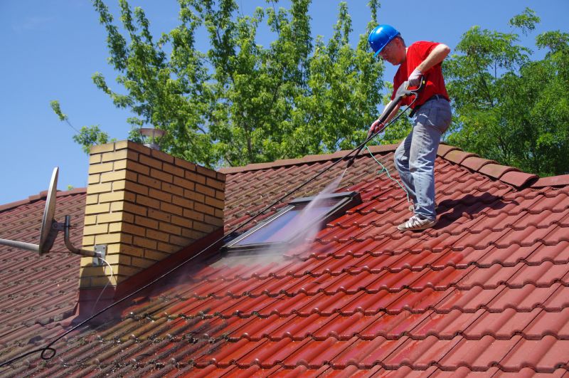 Handyman Roof Service